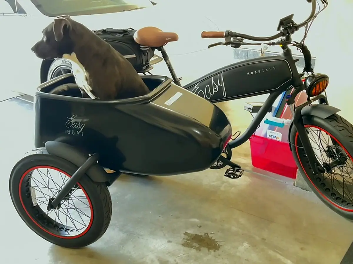 MOD Easy with SideCar, photo from Will's test ride video