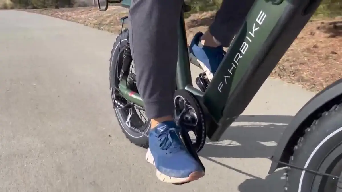 Fahrbike Roadster 73