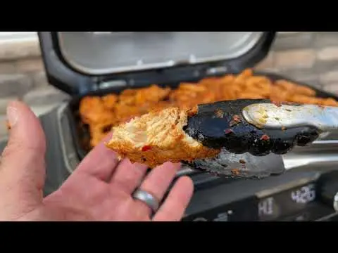 Ninja Woodfire Outdoor Grill, frame from Will's review video