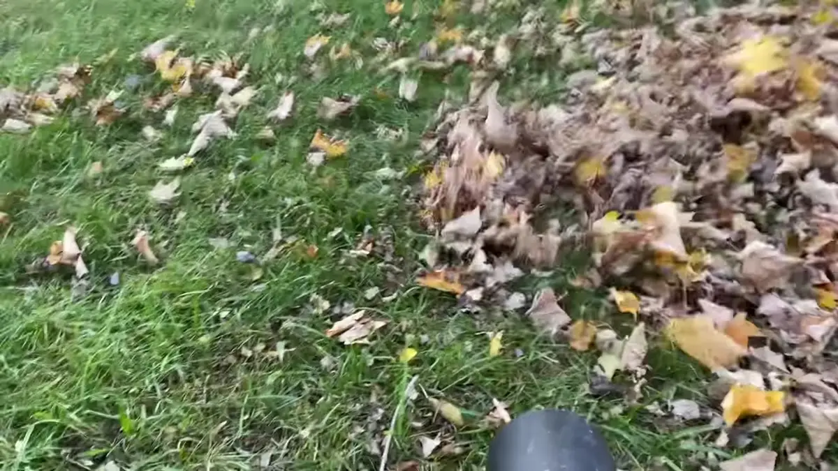 Toro 60V Leaf Blower in use, frame from Will's review video
